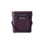 Roadie® Ghiacciaia 24